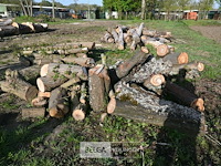 Partij brandhout - afbeelding 3 van  4