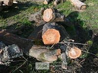 Partij brandhout - afbeelding 4 van  4