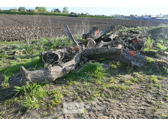 Partij brandhout - afbeelding 1 van  4