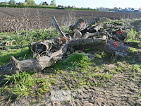Partij brandhout - afbeelding 1 van  4