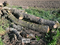 Partij brandhout - afbeelding 2 van  4