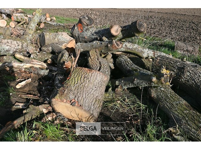 Partij brandhout - afbeelding 3 van  4