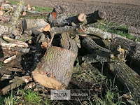 Partij brandhout - afbeelding 3 van  4