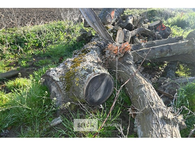 Partij brandhout - afbeelding 4 van  4