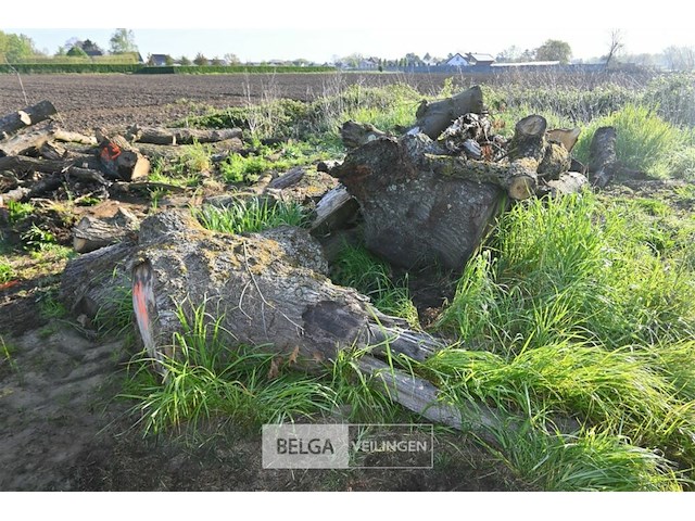 Partij brandhout - afbeelding 1 van  4