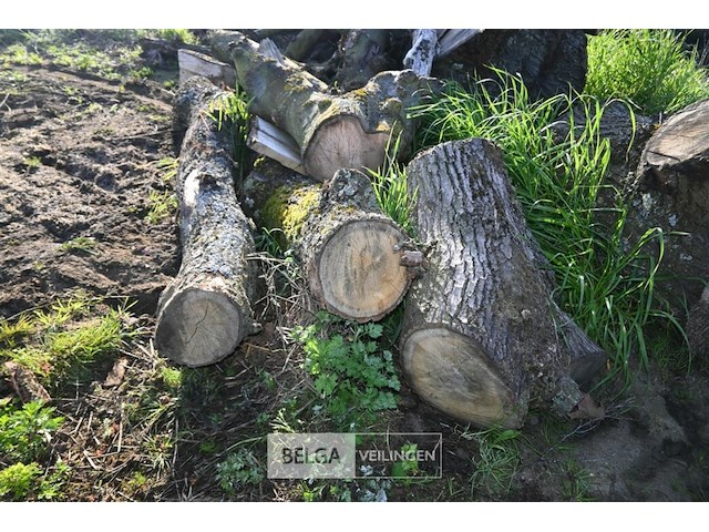 Partij brandhout - afbeelding 2 van  4