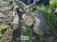 Partij brandhout - afbeelding 2 van  4