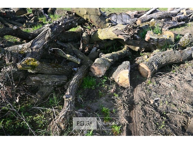 Partij brandhout - afbeelding 3 van  4