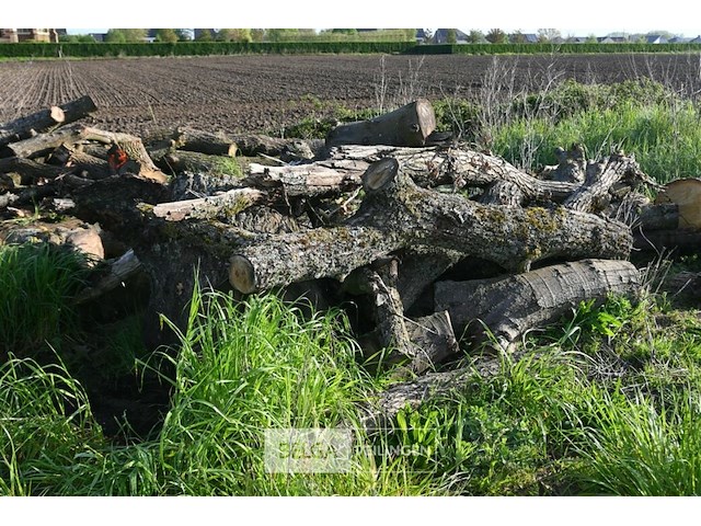 Partij brandhout - afbeelding 4 van  4
