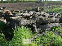 Partij brandhout - afbeelding 4 van  4