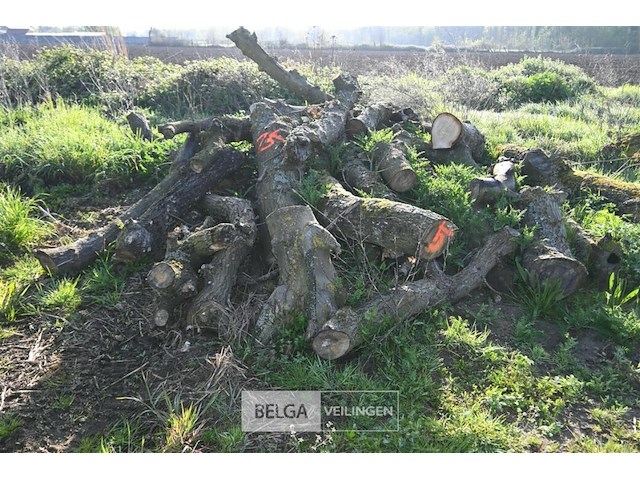 Partij brandhout - afbeelding 1 van  4