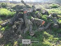 Partij brandhout - afbeelding 1 van  4