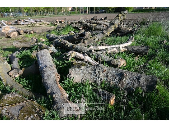 Partij brandhout - afbeelding 3 van  4