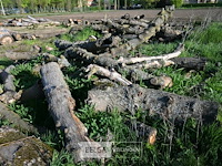 Partij brandhout - afbeelding 3 van  4