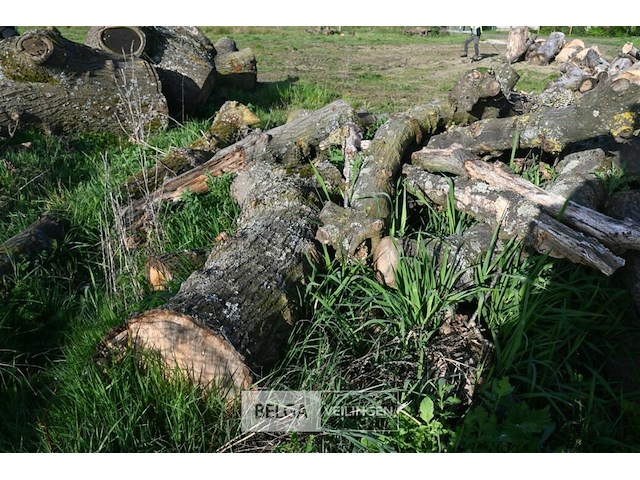 Partij brandhout - afbeelding 4 van  4