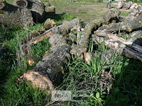 Partij brandhout - afbeelding 4 van  4