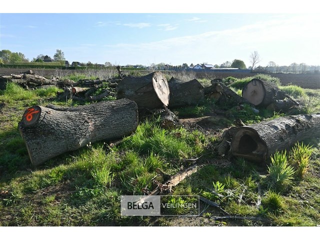 Partij brandhout - afbeelding 1 van  5