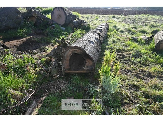 Partij brandhout - afbeelding 2 van  5