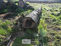 Partij brandhout - afbeelding 2 van  5