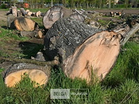 Partij brandhout - afbeelding 3 van  5