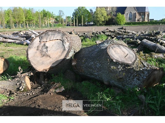 Partij brandhout - afbeelding 4 van  5