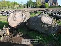 Partij brandhout - afbeelding 4 van  5