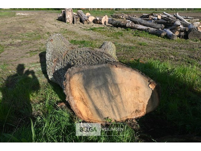 Partij brandhout - afbeelding 5 van  5