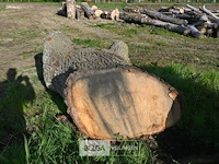 Partij brandhout - afbeelding 5 van  5