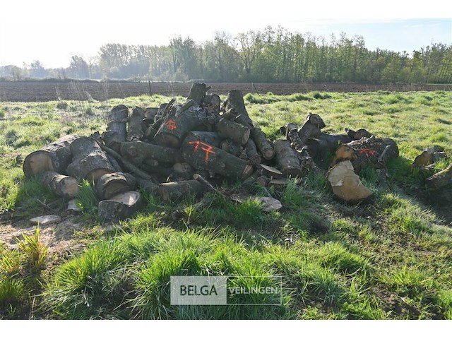 Partij brandhout - afbeelding 1 van  4