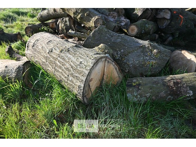 Partij brandhout - afbeelding 2 van  4