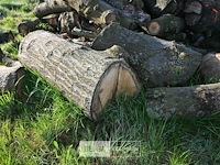 Partij brandhout - afbeelding 2 van  4