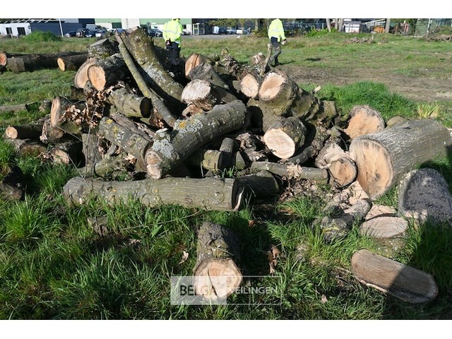 Partij brandhout - afbeelding 3 van  4