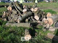 Partij brandhout - afbeelding 3 van  4