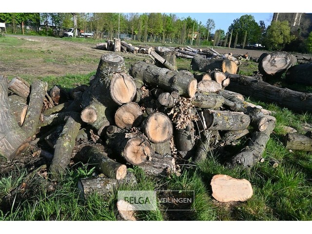 Partij brandhout - afbeelding 4 van  4