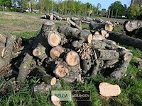 Partij brandhout - afbeelding 4 van  4