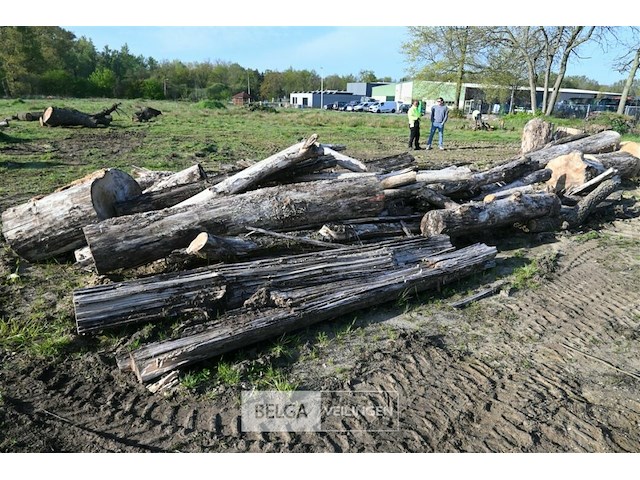 Partij brandhout - afbeelding 1 van  4