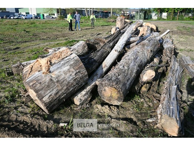 Partij brandhout - afbeelding 2 van  4