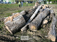 Partij brandhout - afbeelding 2 van  4