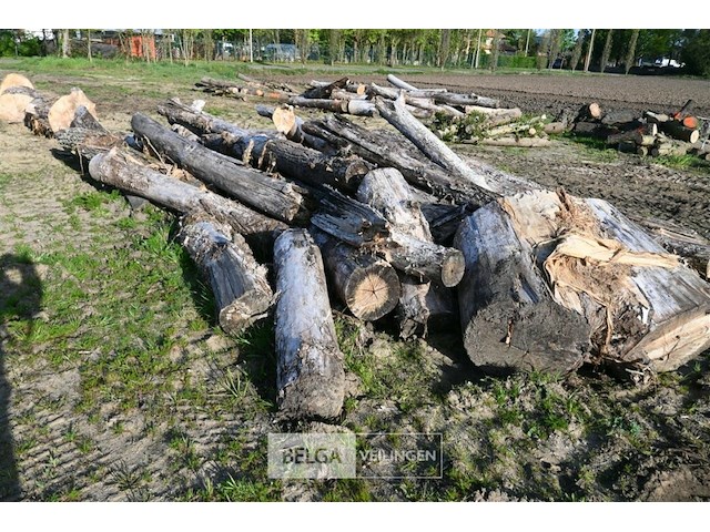 Partij brandhout - afbeelding 3 van  4