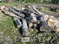 Partij brandhout - afbeelding 3 van  4