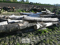 Partij brandhout - afbeelding 4 van  4