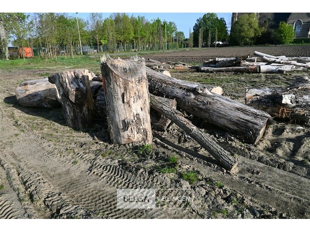 Partij brandhout - afbeelding 1 van  4