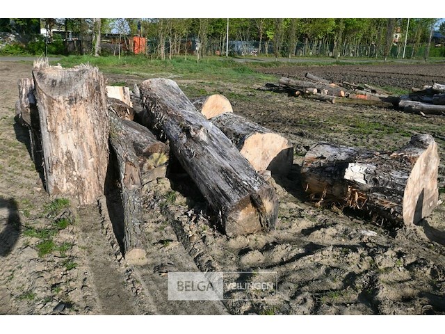 Partij brandhout - afbeelding 2 van  4