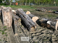 Partij brandhout - afbeelding 2 van  4