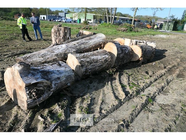 Partij brandhout - afbeelding 3 van  4