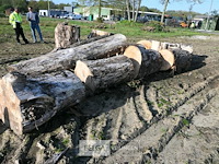 Partij brandhout - afbeelding 3 van  4