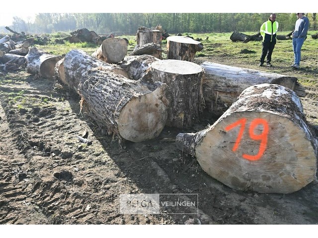 Partij brandhout - afbeelding 4 van  4