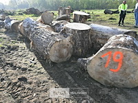 Partij brandhout - afbeelding 4 van  4