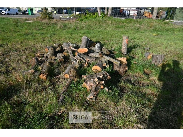 Partij brandhout - afbeelding 1 van  4