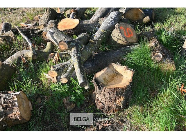 Partij brandhout - afbeelding 2 van  4